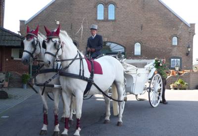 Feiern auf dem Baumannshof Kleve Ansicht 3